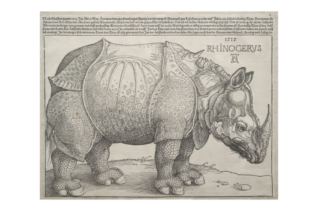 Main image Dürer / The Rhinoceros — Exhibition Print - 24 x 16