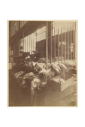 Main image Atget / Les Halles — Exhibition Print - 24 x 36