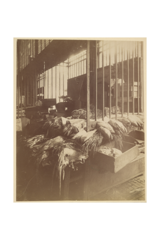 Main image Atget / Les Halles — Exhibition Print - 24 x 36