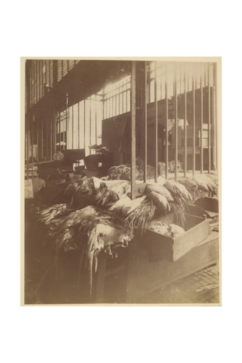 Main image Atget / Les Halles — Exhibition Print - 24 x 36