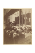 Main image Atget / Les Halles — Exhibition Print - 16 x 24