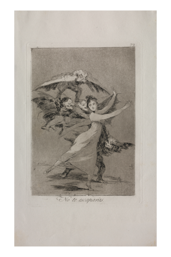 Main image Goya / You Will Not Escape — Exhibition Print - 24 x 36
