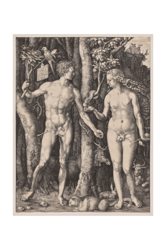 Main image Dürer / Adam and Eve — Exhibition Print - 16 x 24