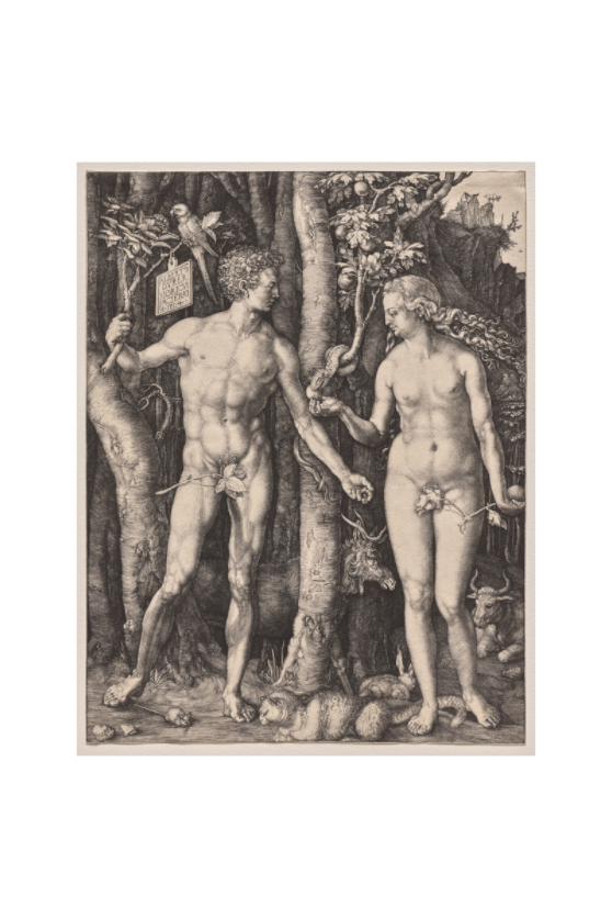 Main image Dürer / Adam and Eve — Exhibition Print - 24 x 36