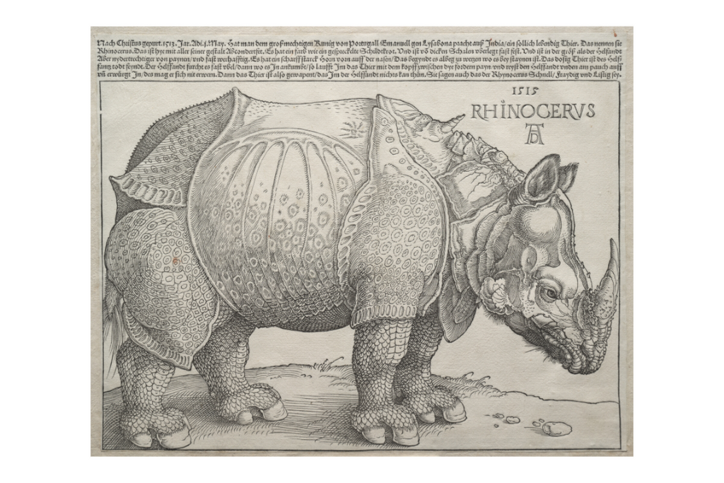 Main image Dürer / The Rhinoceros — Exhibition Print - 36 x 24